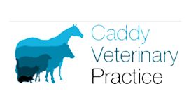 Caddy Veterinary Practice