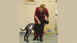 East Neuk Veterinary Clinic