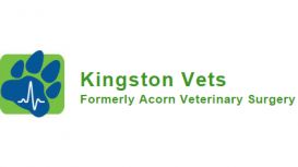 Kingston Vets