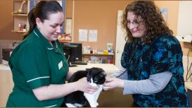 The Mount Veterinary Practice