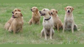 Royston Veterinary Centre